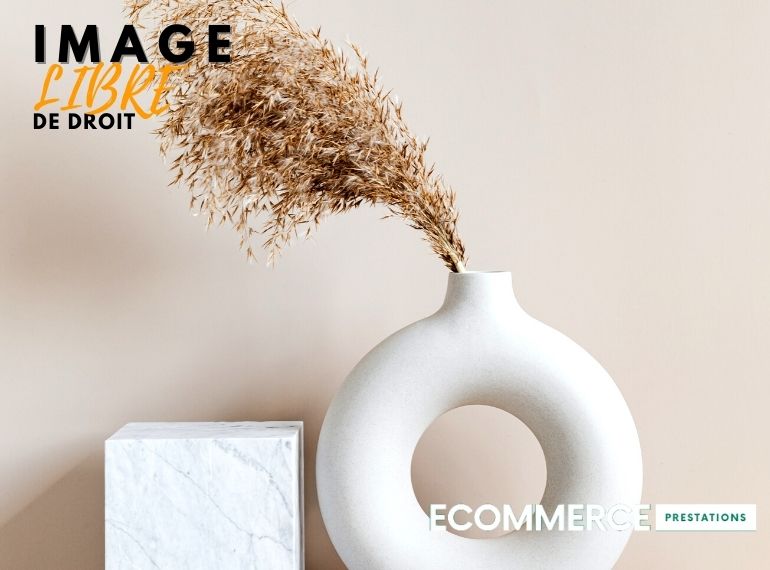 IMAGE GRATUITE
